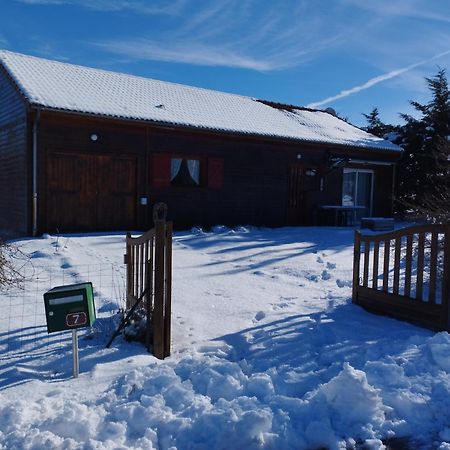 Chalet Les Adrets Du Sancy Saint-Diery Dış mekan fotoğraf
