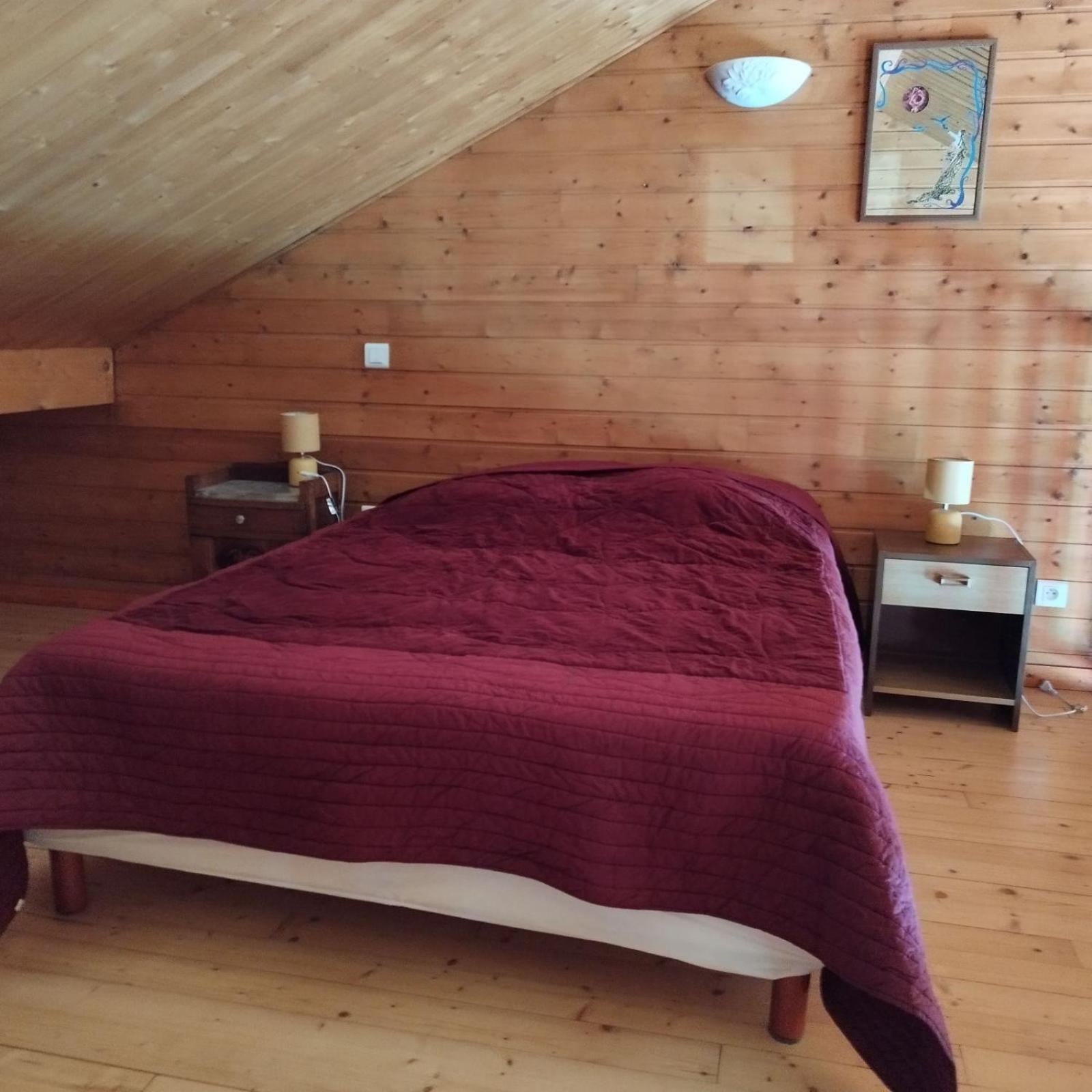 Chalet Les Adrets Du Sancy Saint-Diery Dış mekan fotoğraf