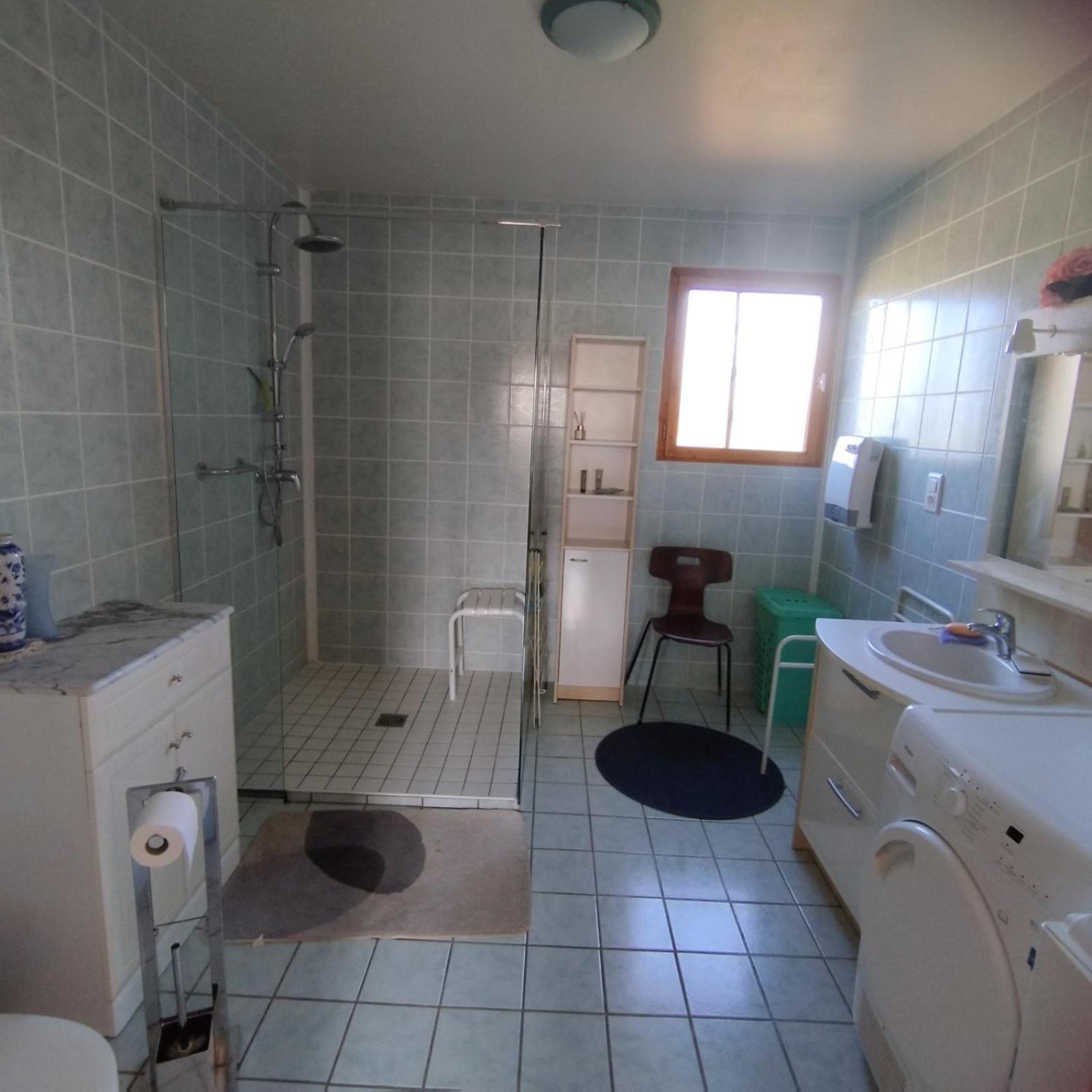 Chalet Les Adrets Du Sancy Saint-Diery Dış mekan fotoğraf