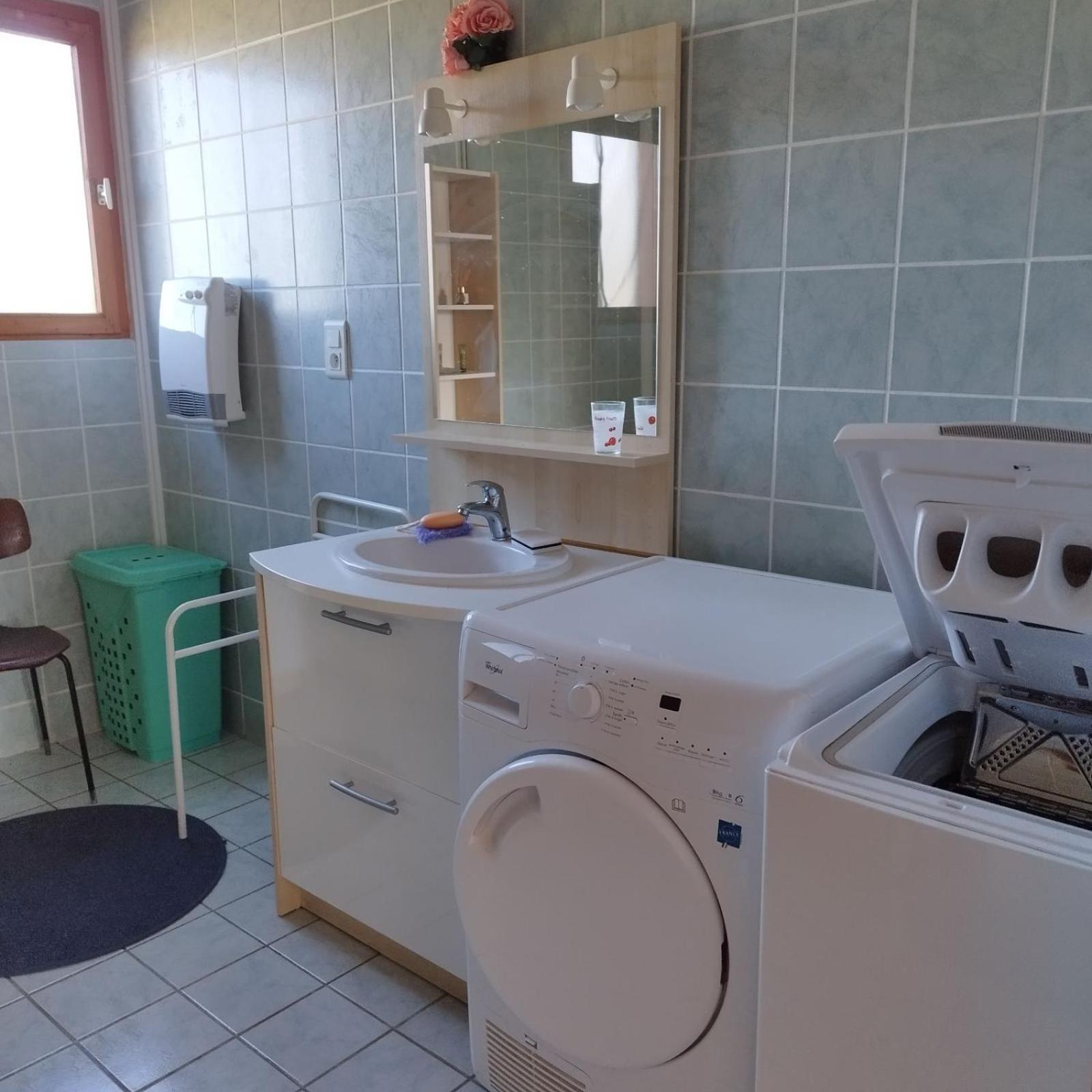 Chalet Les Adrets Du Sancy Saint-Diery Dış mekan fotoğraf